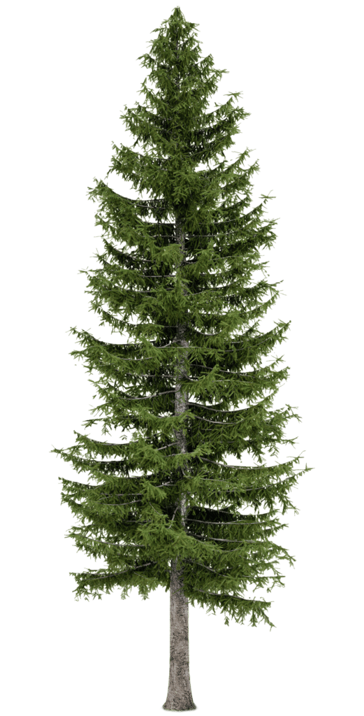 Fertighaus-WEISS-Nachhaltigkeit